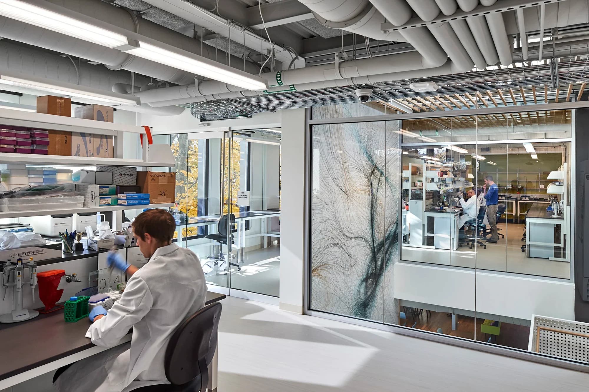 Scientist working in a modern lab with additional researchers visible through glass-walled workspaces.